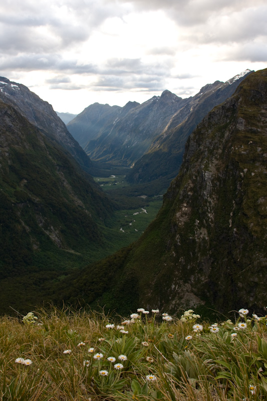 Looking Down The Clinton River Valley